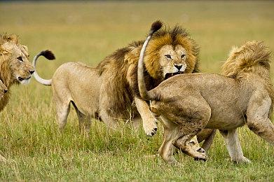 Xbox发布会：全新作《HIGH ON LIFE》公布